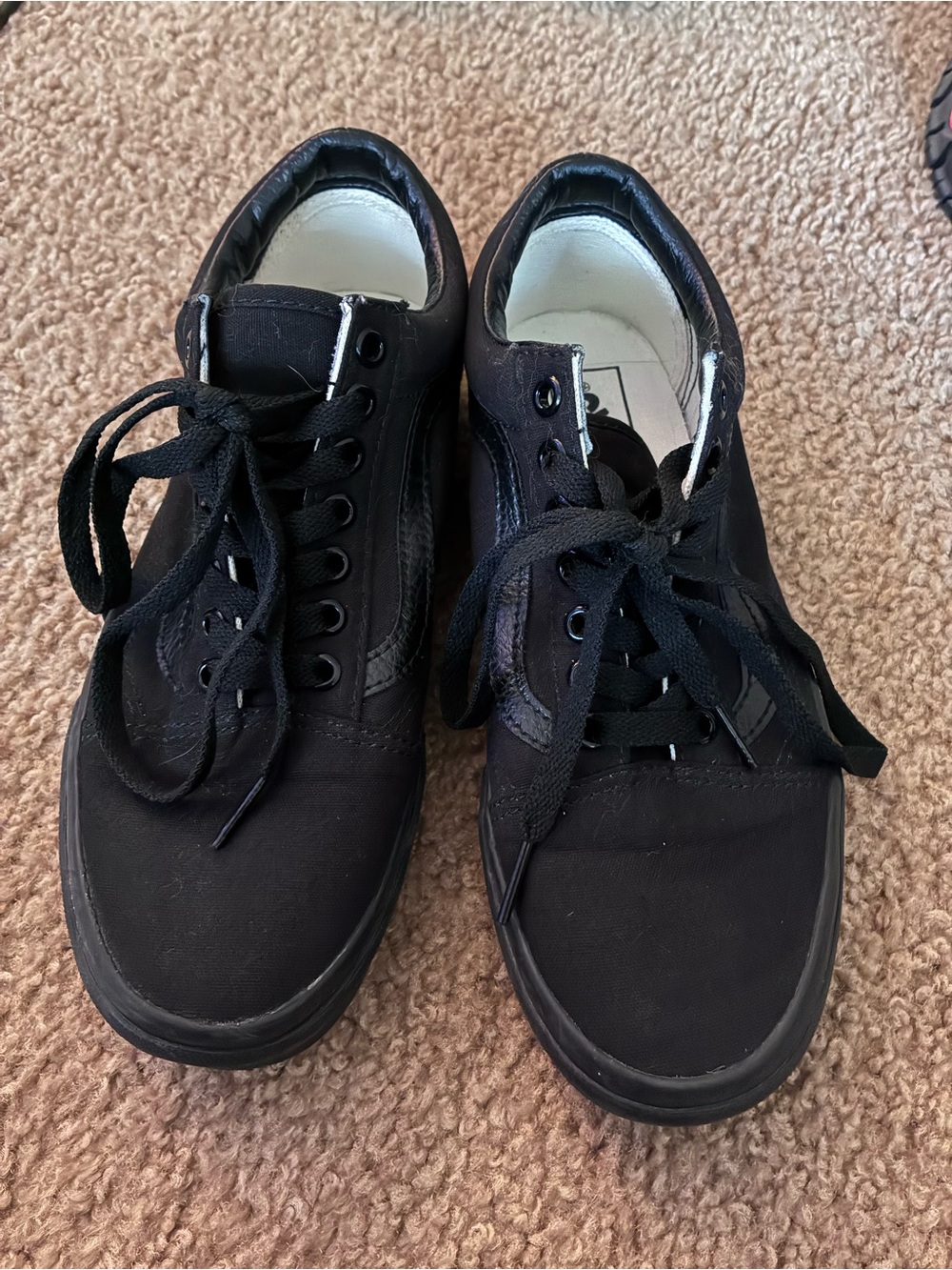 Vans Black Low-Top Canvas Lace-Up Sneakers